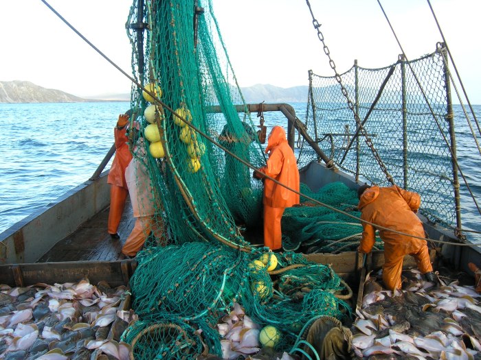 Рыбаки на промысле в море