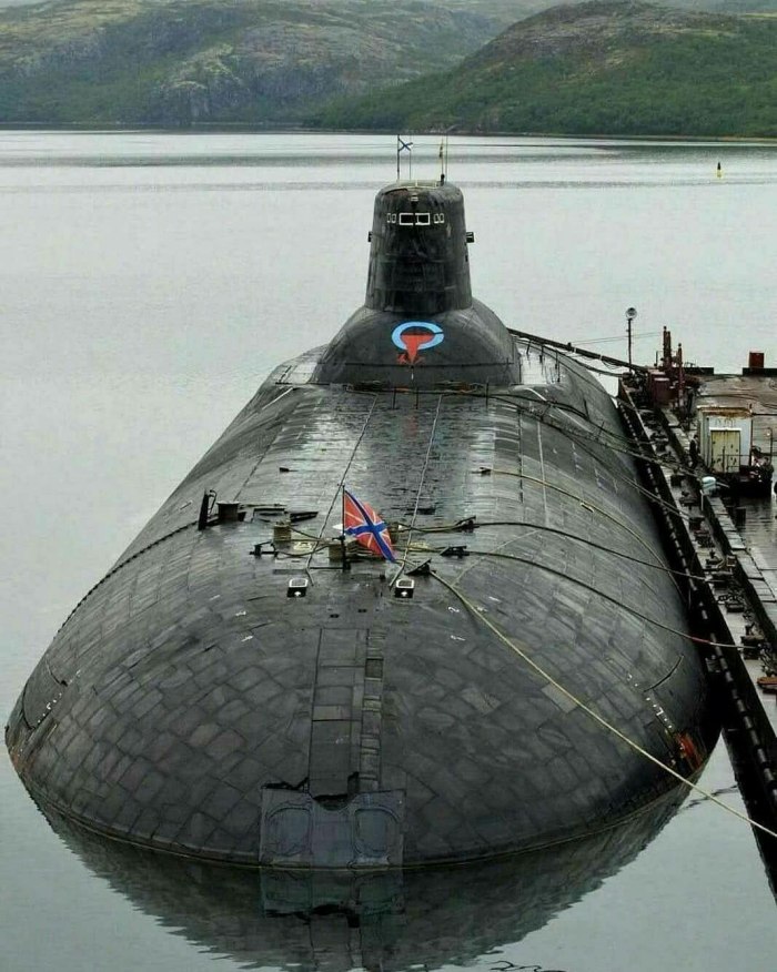 АПЛ Дмитрий Донской