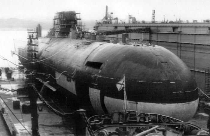 Атомная подлодка проекта 941 Дмитрий Донской