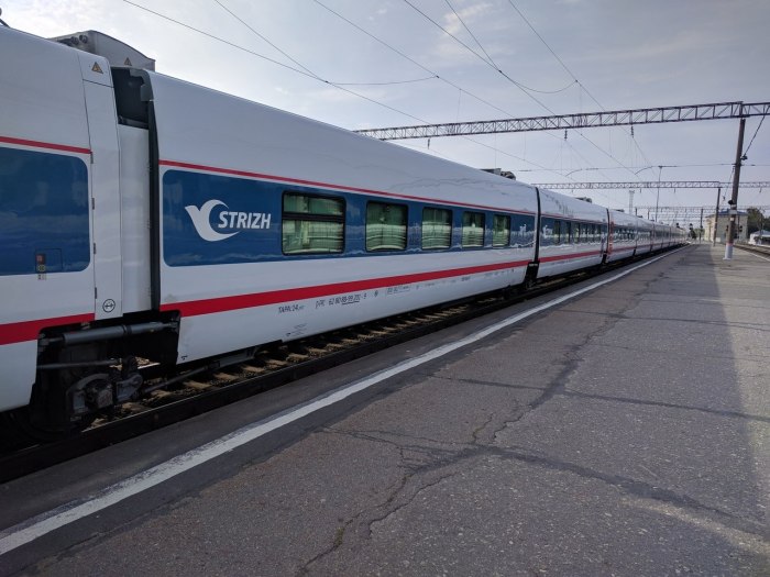 Стриж вагоны Talgo