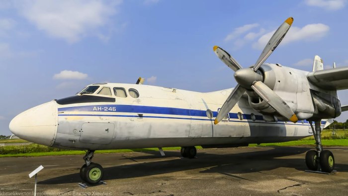 Винт АН-24