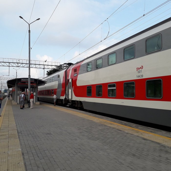 Поезд 233а Санкт-Петербург
