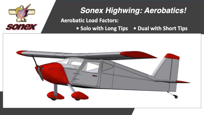 Мини самолет Larkin 0531—Sonex