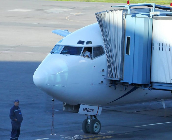 Боинг 737 Скат