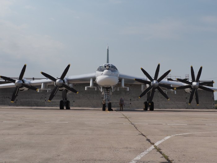 Бомбардировщик ту-95мс