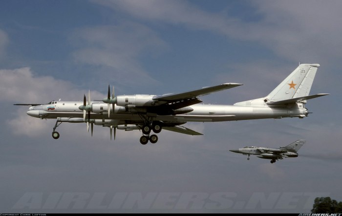 Стратегический турбовинтовой бомбардировщик ту-95мс
