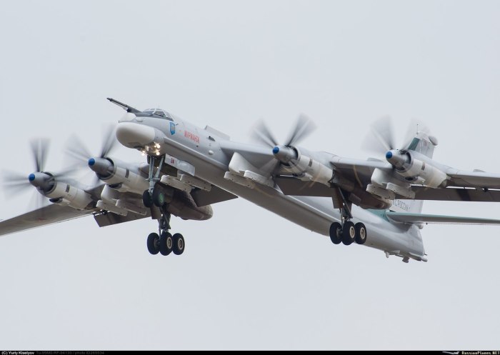 Стратегический ракетоносец ту-95мс