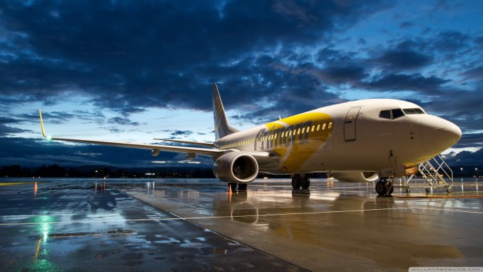 Боинг 737 x