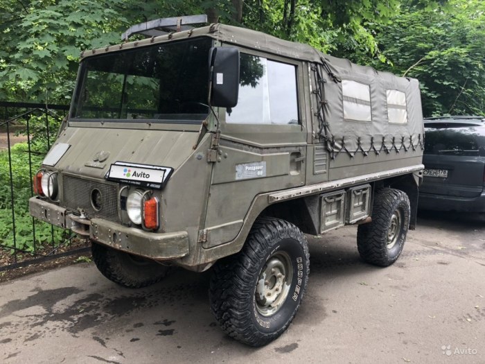 ГАЗ 66 vs Pinzgauer
