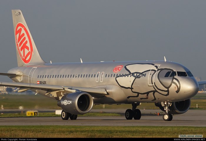 Citrus Airlines ливрея