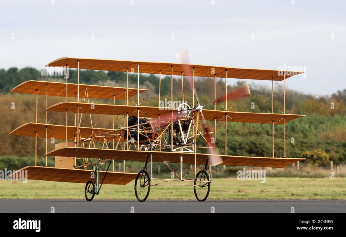 Roe i Triplane