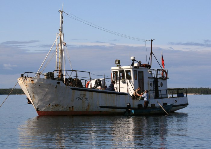 Сейнер МРС 80