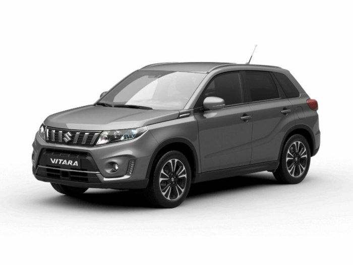 Suzuki Vitara II