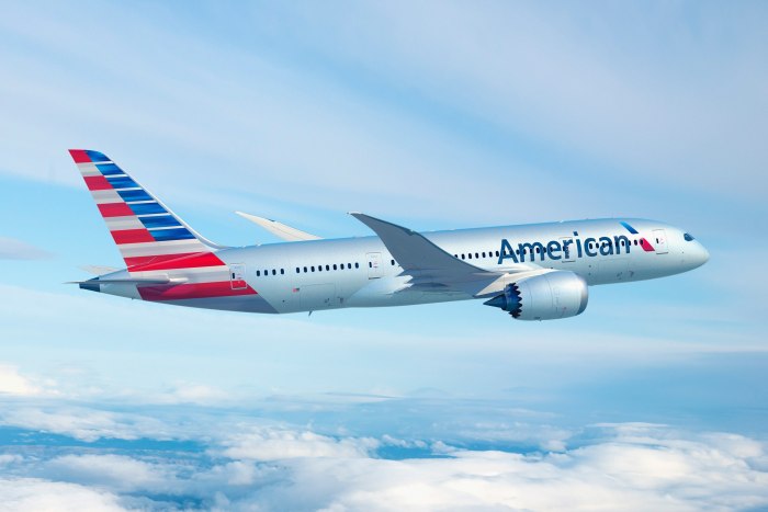 Американские авиалинии (American Airlines) США