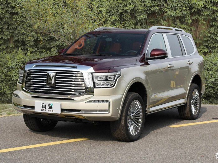 Tank 500 great Wall