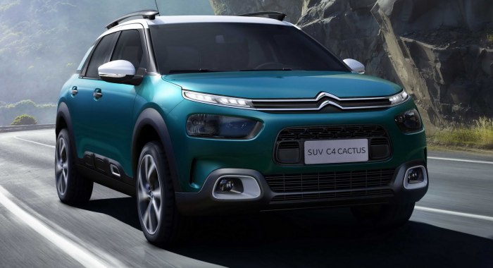 Citroen паркетник