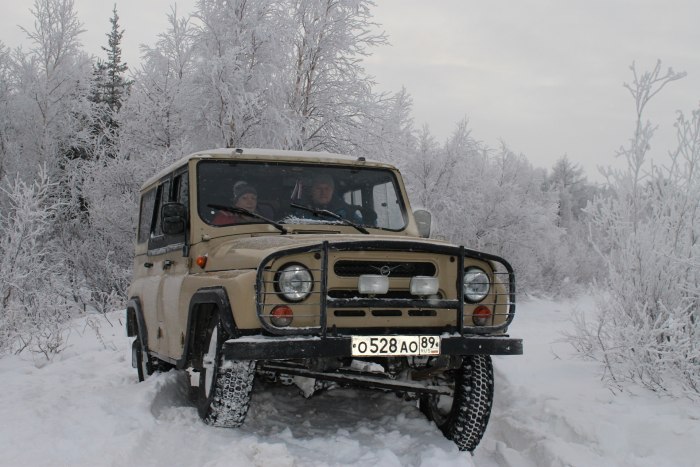 УАЗ 31519 2000