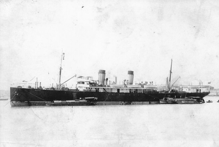 Вспомогательный крейсер Терек 1904