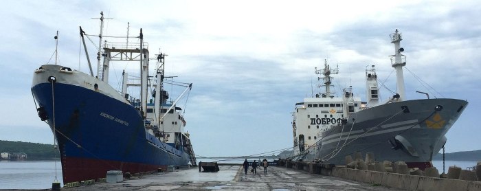 Судно Лучегорск Доброфлот
