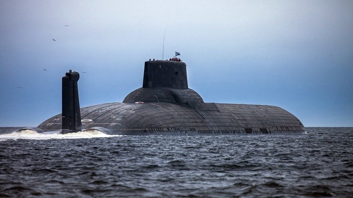 «Акула» — ТК-208 «Дмитрий Донской»