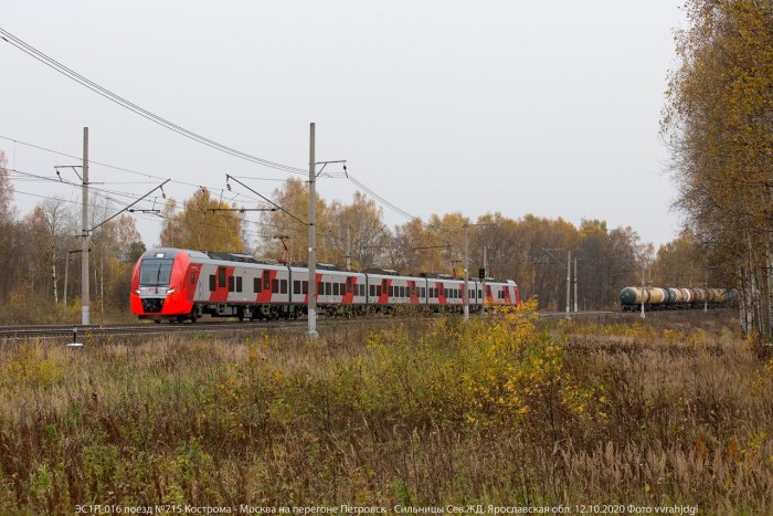Ласточка Ржев