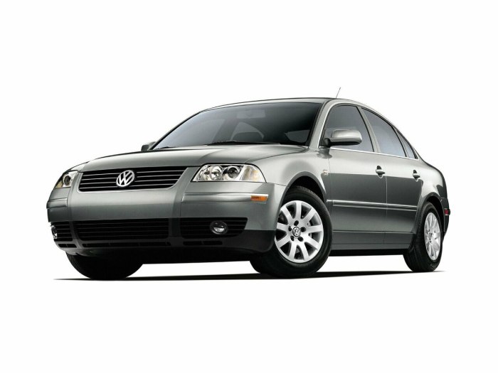 Volkswagen Passat b5 2005 универсал