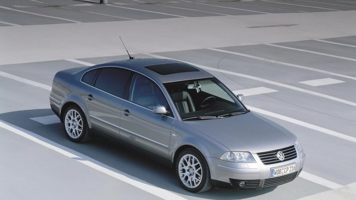 Passat b5.5