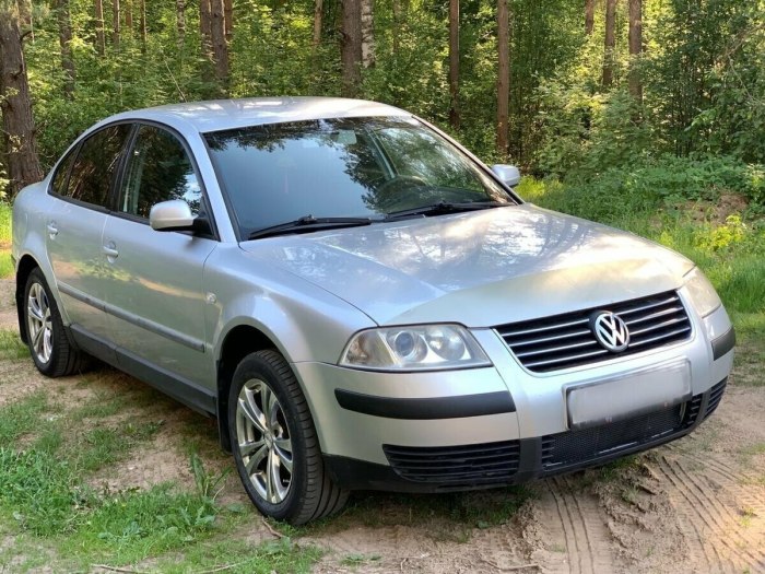 Фольксваген Пассат б5 2002