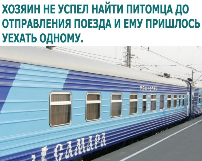 Фирменный поезд «Жигули» 010й Москва — Самара