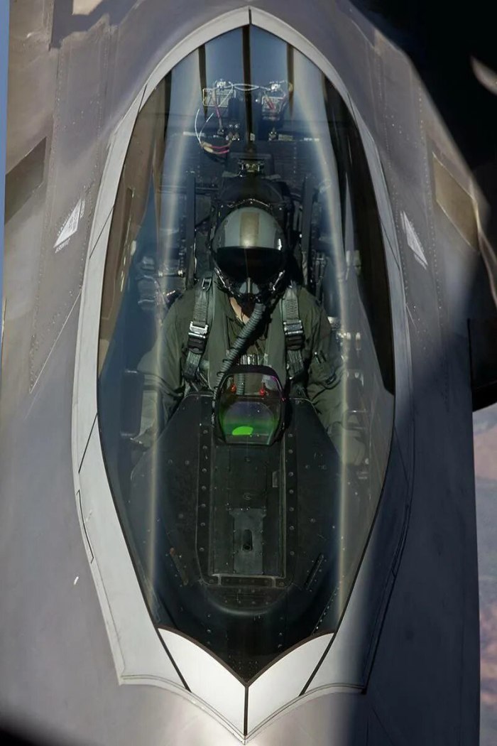 F 22 Raptor кабина