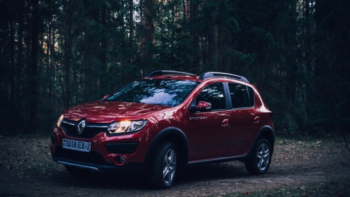 Renault Sandero Stepway бордовый