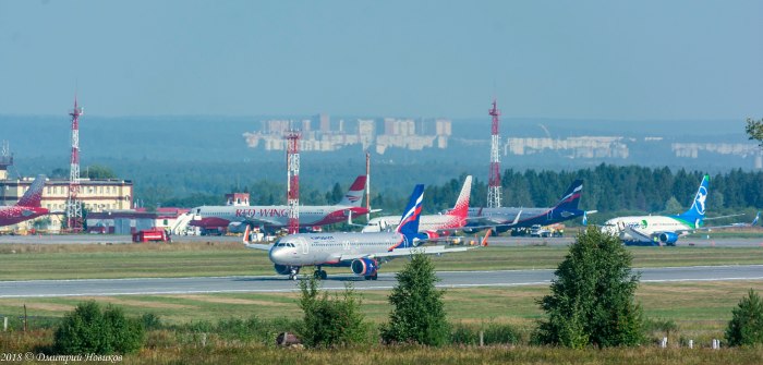 Три кота аэропорт самолет Ейск