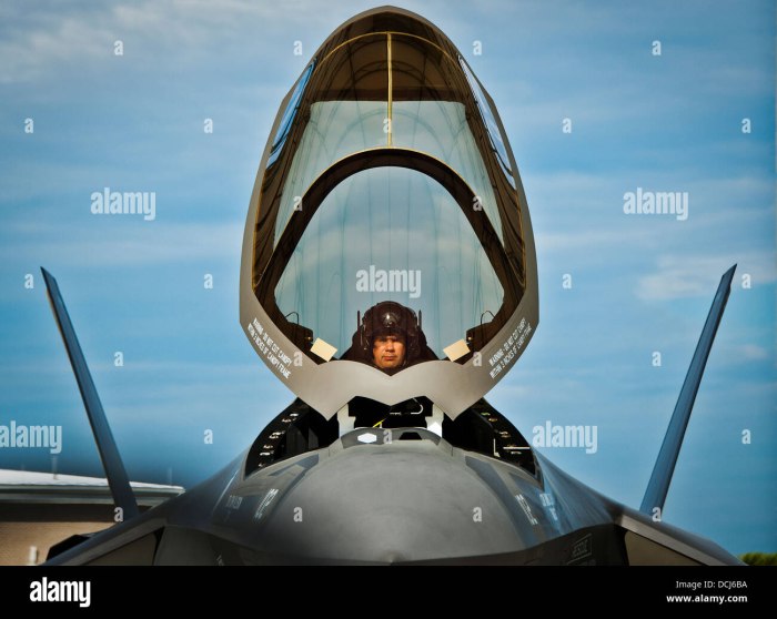 F-35 кабина