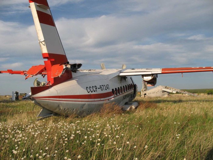 Л-410 Аэрофлот СССР