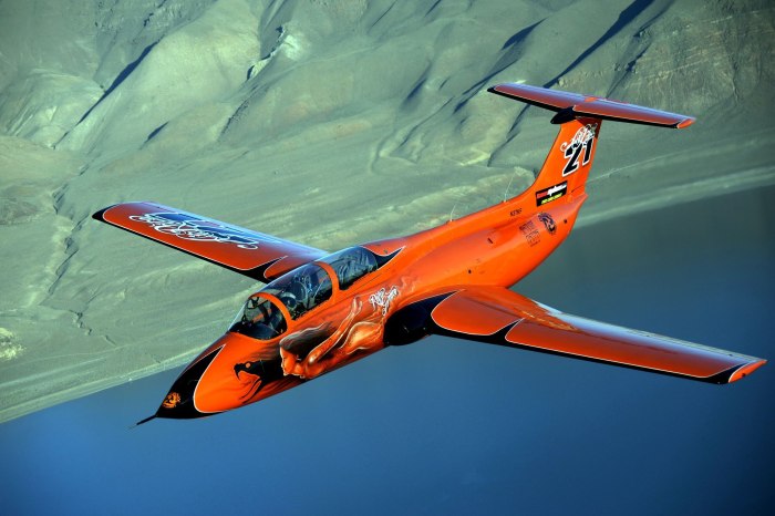 Aero l-29 Delfin