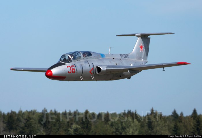 Л-29 Дельфин