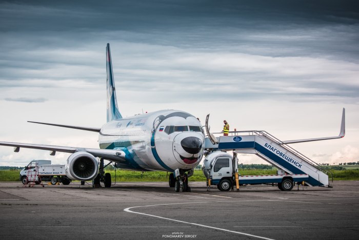 Боинг 737-800 Лайколет