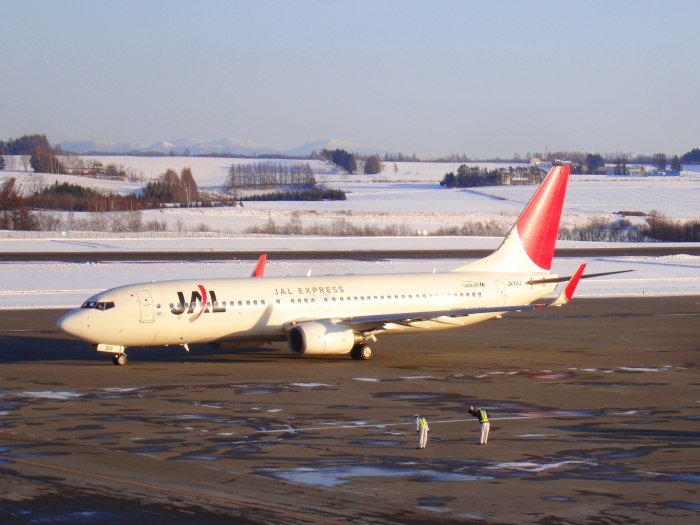 АК Россия Боинг 737-800