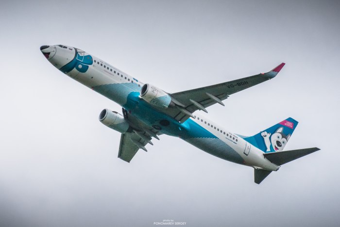 B737 Лайколет