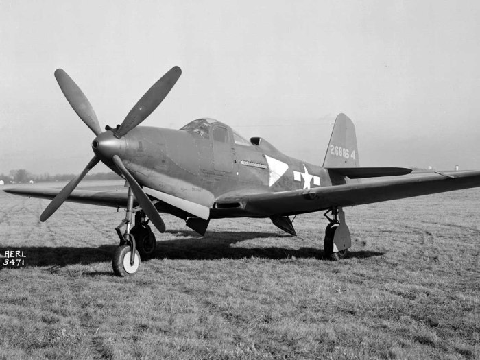 P63a King Cobra