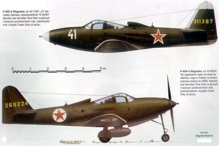 Bell p-39 Airacobra СССР