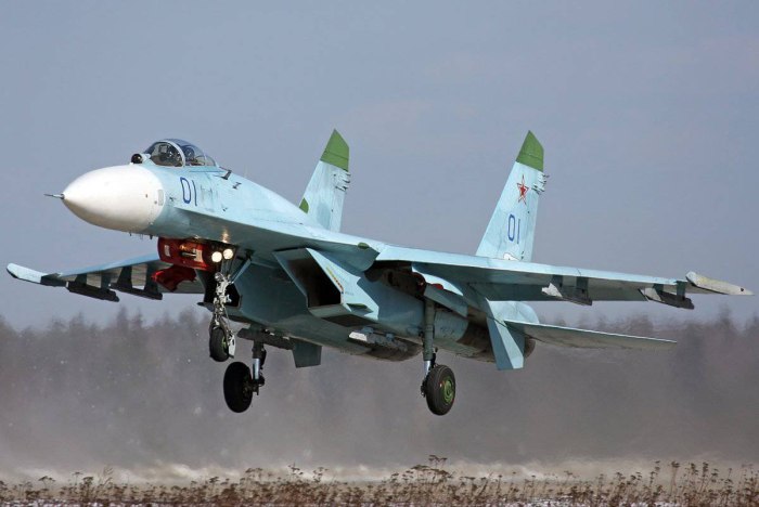 Су-27 ВВС России