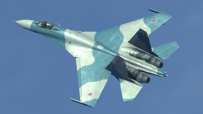 Су-27 ВВС России