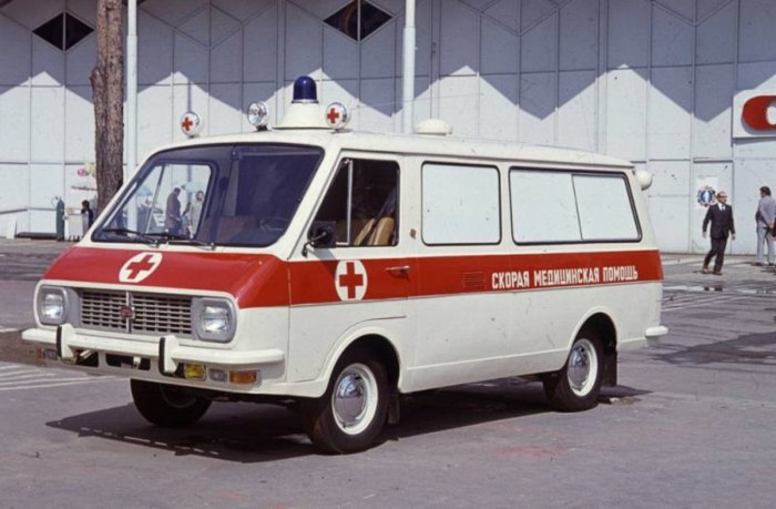 РАФ 22031