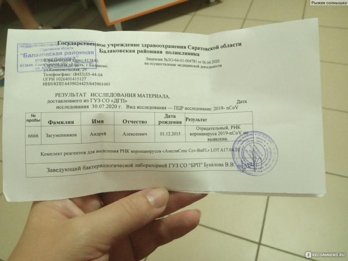 Справка ПЦР