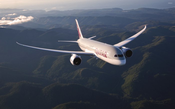 Боинг 787 Дримлайнер