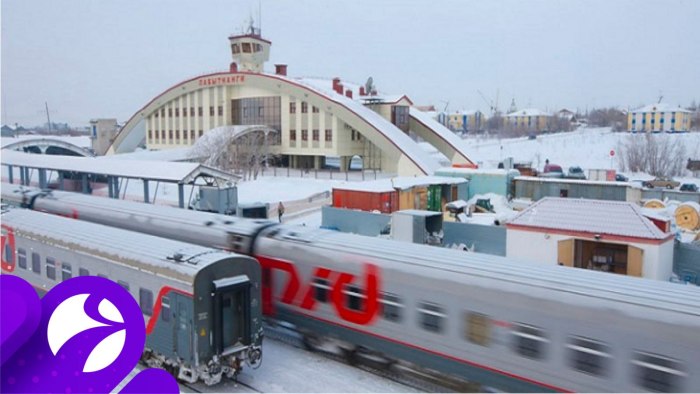Полярная стрела