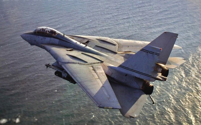 F 14 истребитель