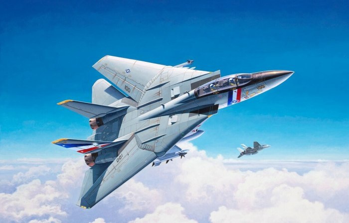 Ф-14 Томкэт