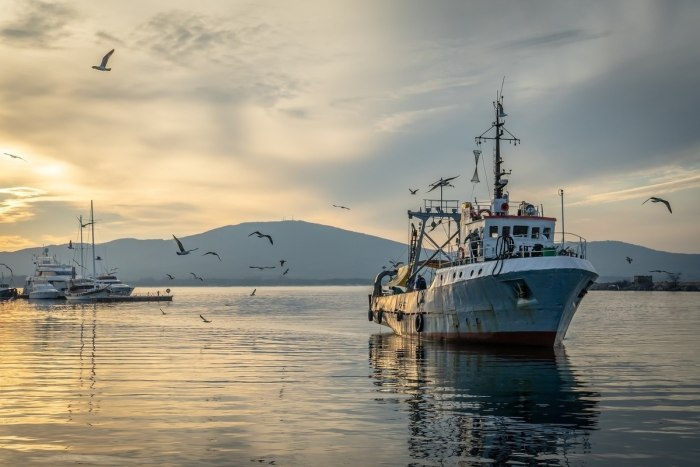 Охотское море судно